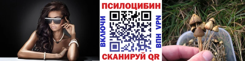 Псилоцибиновые грибы ЛСД  Куровское 