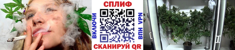 маркетплейс телеграм  Куровское  Шишки марихуана SATIVA & INDICA 